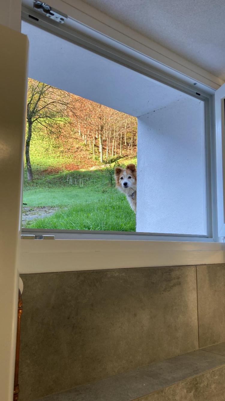 Cascina Uertigher Gorno Esterno foto