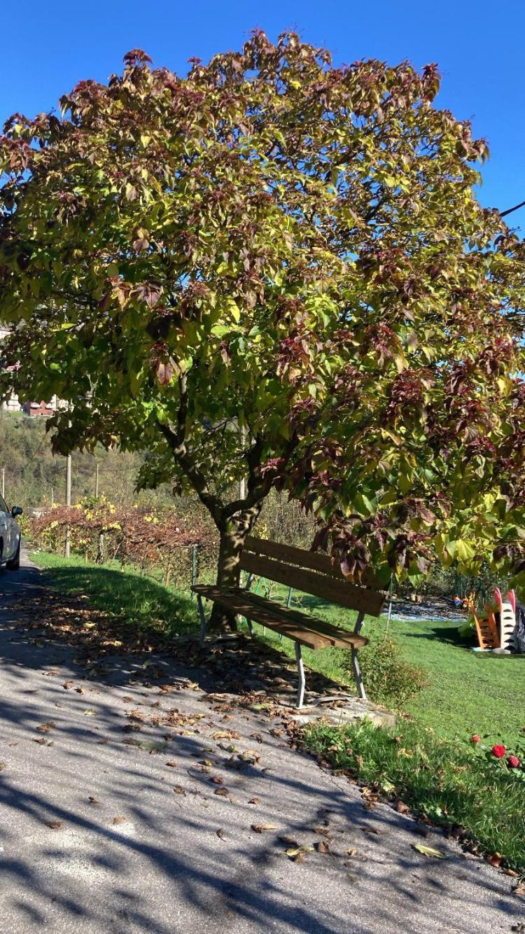 Cascina Uertigher Gorno Esterno foto