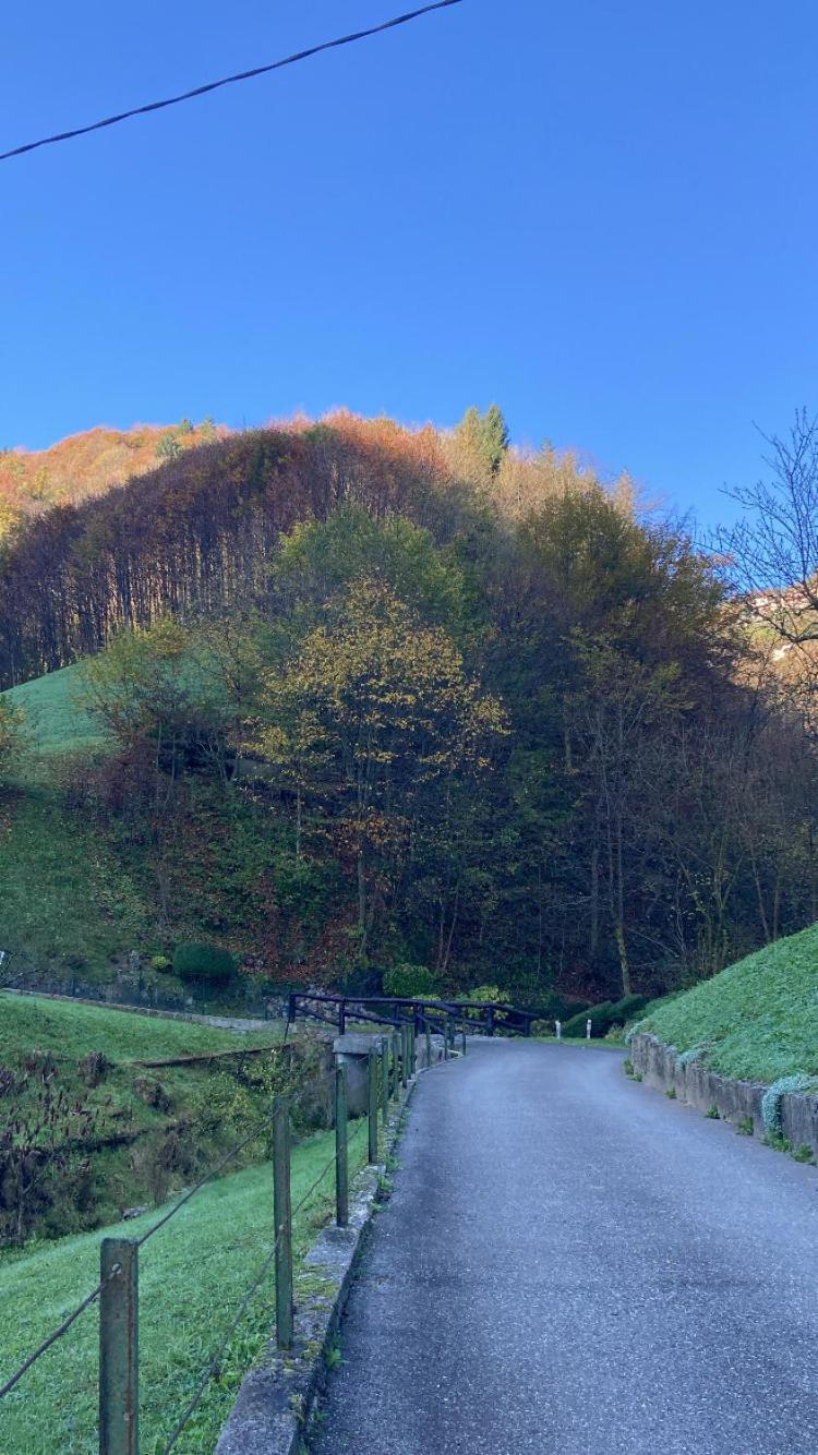 Cascina Uertigher Gorno Esterno foto
